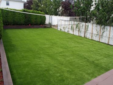 Artificial Grass Photos: Artificial Pet Turf El Rio California Lawns